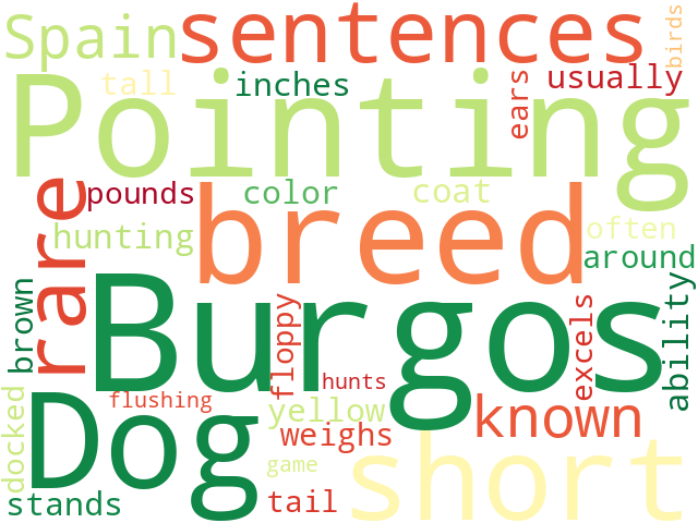Word Cloud for burgos_pointing_dog