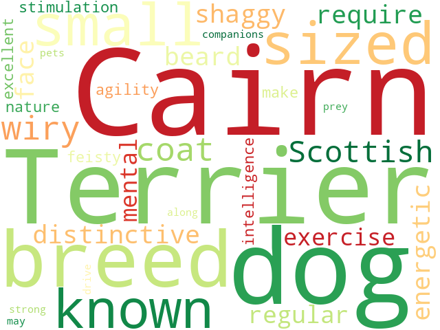 Word Cloud for cairn_terrier