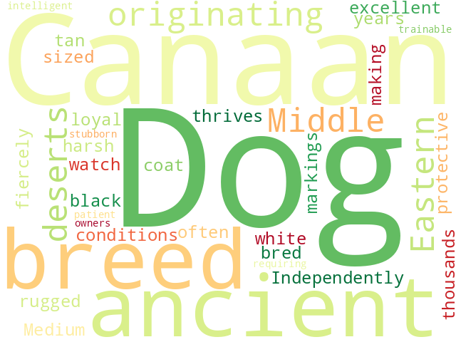 Word Cloud for canaan_dog