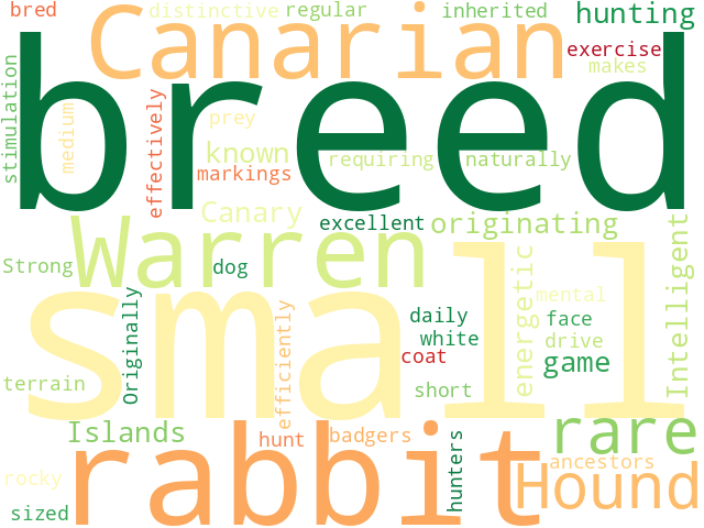 Word Cloud for canarian_warren_hound