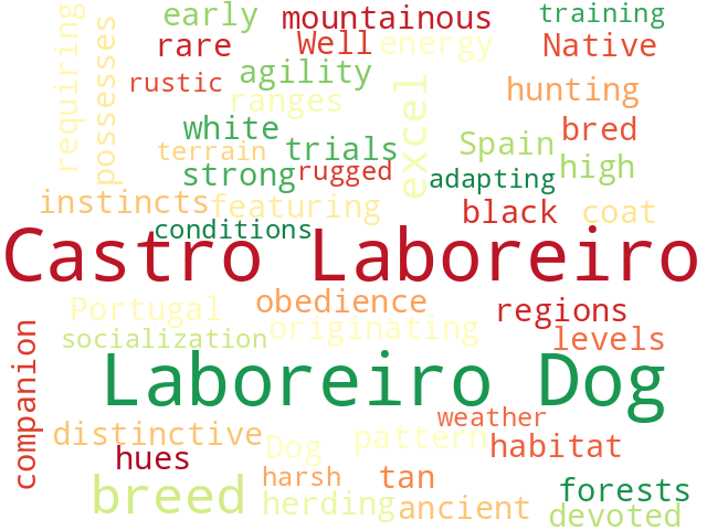 Word Cloud for castro_laboreiro_dog