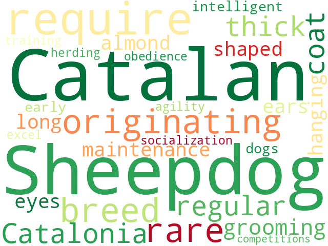 Word Cloud for catalan_sheepdog