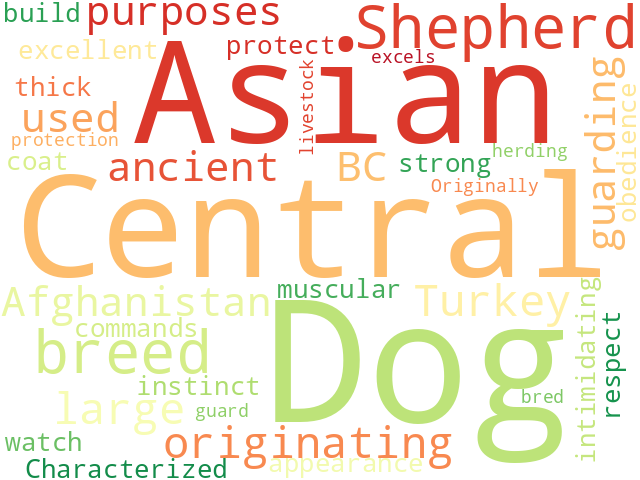 Word Cloud for central_asia_shepherd_dog