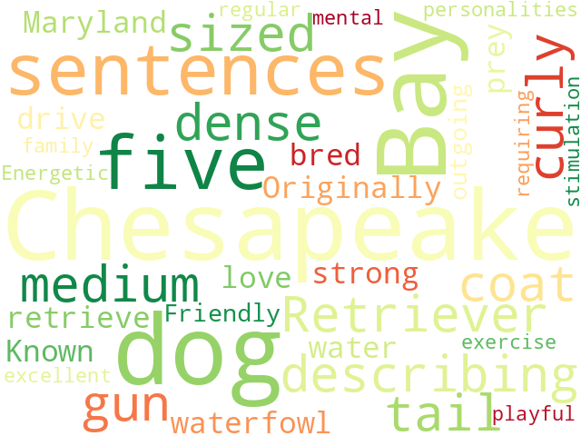 Word Cloud for chesapeake_bay_retriever