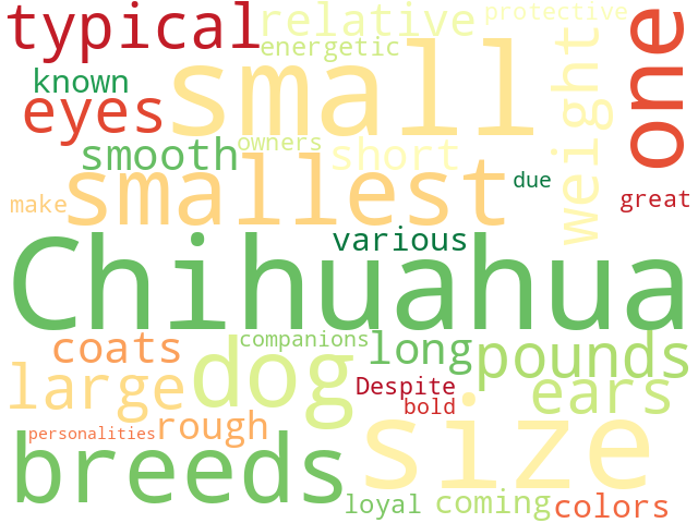 Word Cloud for chihuahua