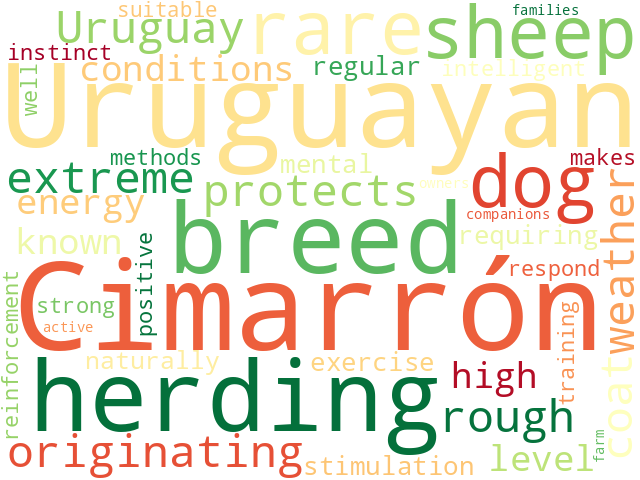 Word Cloud for cimarr_n_uruguayo
