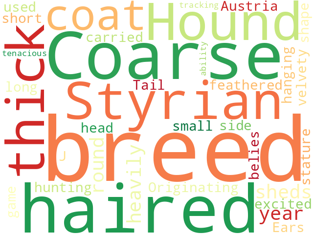 Word Cloud for coarse_haired_styrian_hound