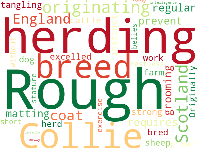 Word Cloud for collie_rough