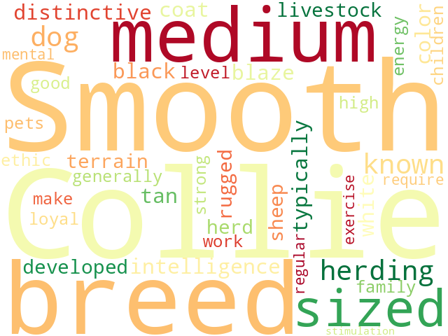 Word Cloud for collie_smooth
