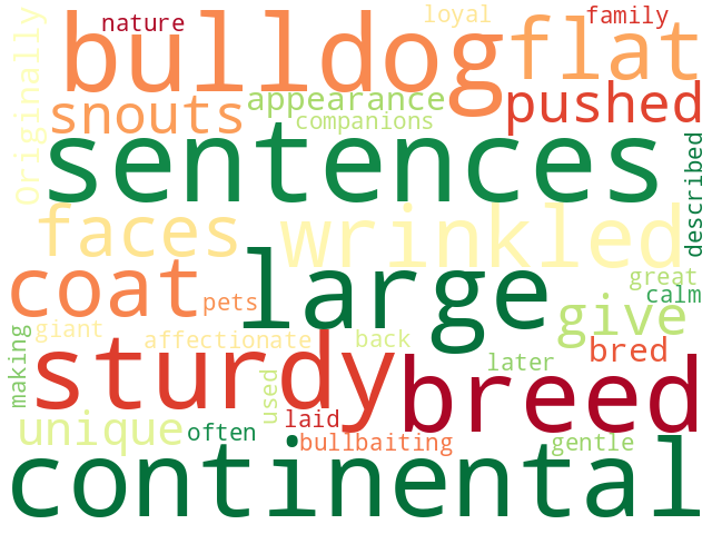 Word Cloud for continental_bulldog