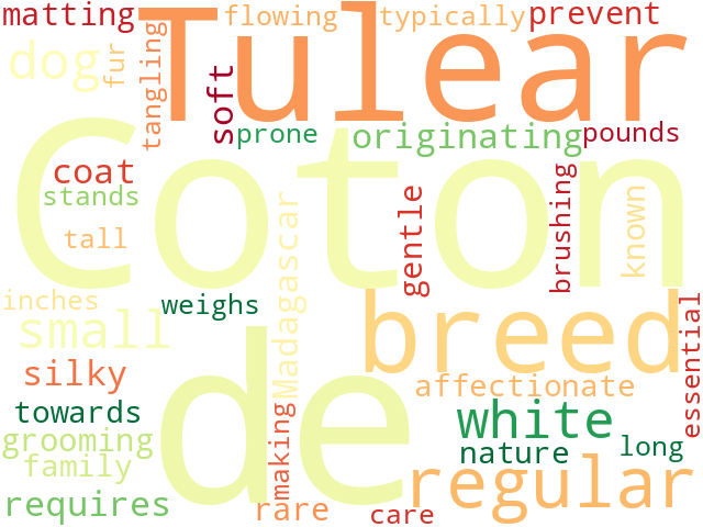 Word Cloud for coton_de_tulear