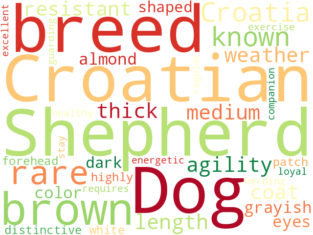 Word Cloud for croatian_shepherd_dog