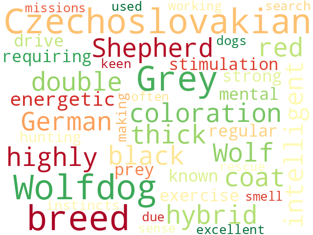 Word Cloud for czechoslovakian_wolfdog