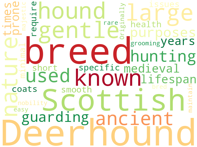 Word Cloud for deerhound