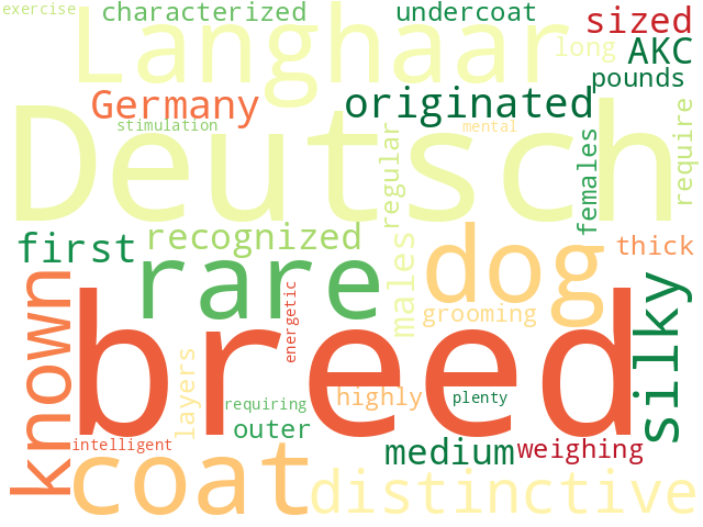 Word Cloud for deutsch_langhaar