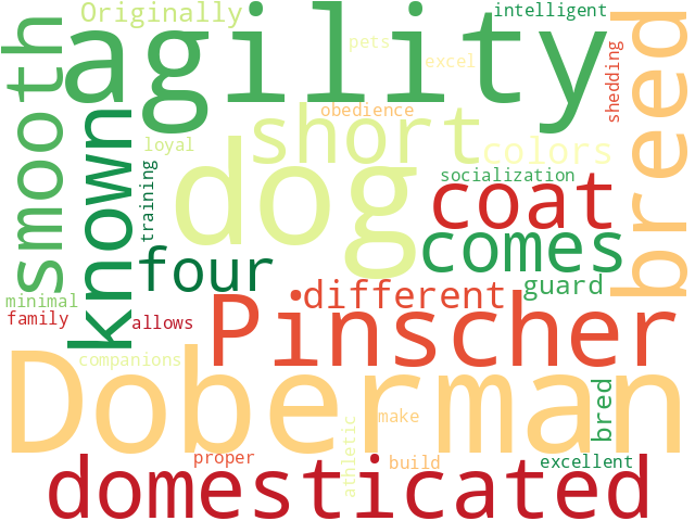 Word Cloud for dobermann