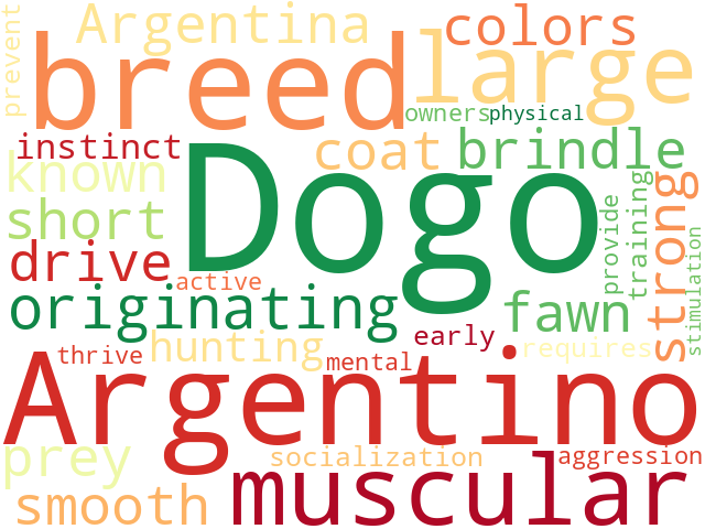 Word Cloud for dogo_argentino