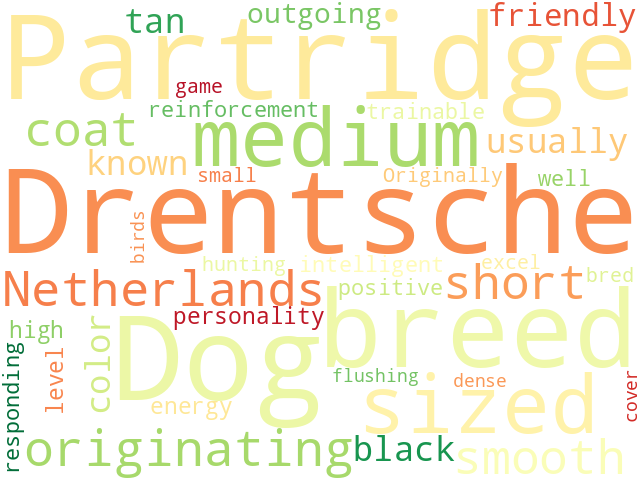 Word Cloud for drentsche_partridge_dog