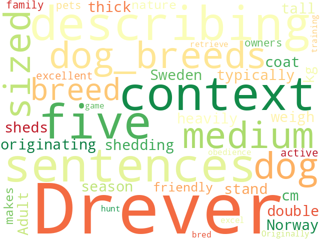Word Cloud for drever