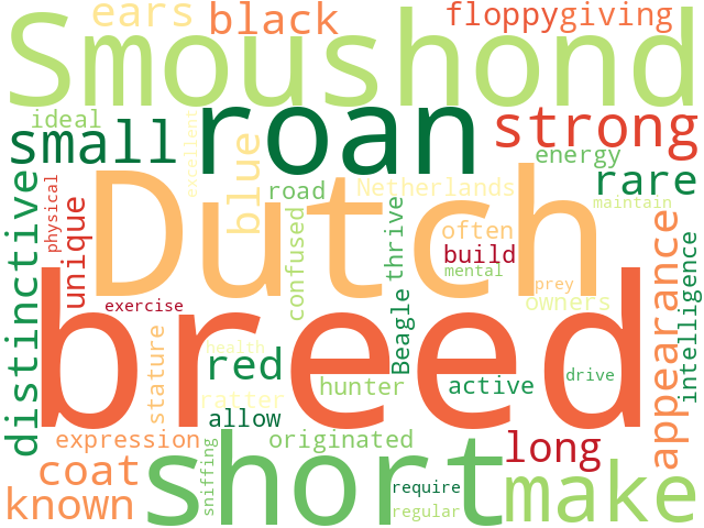 Word Cloud for dutch_smoushond