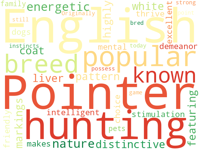 Word Cloud for english_pointer