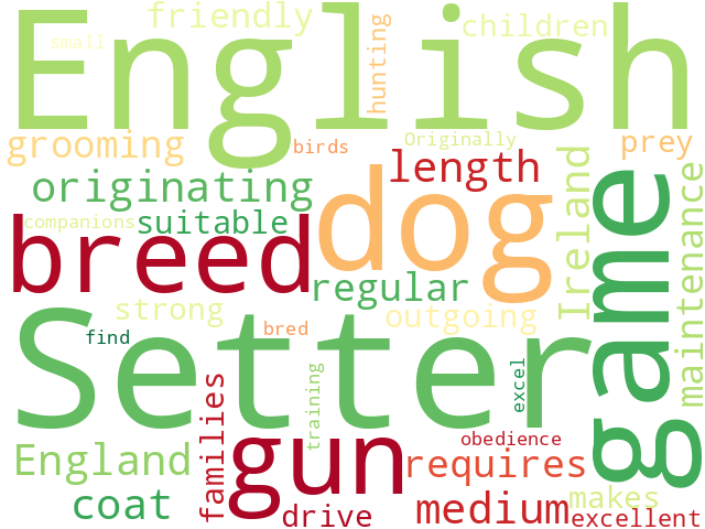 Word Cloud for english_setter