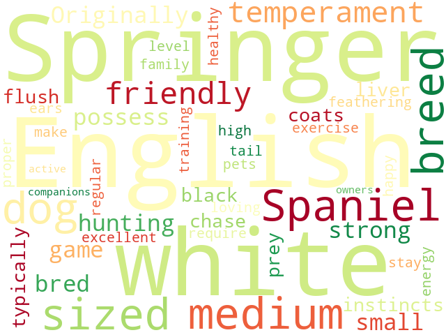 Word Cloud for english_springer_spaniel