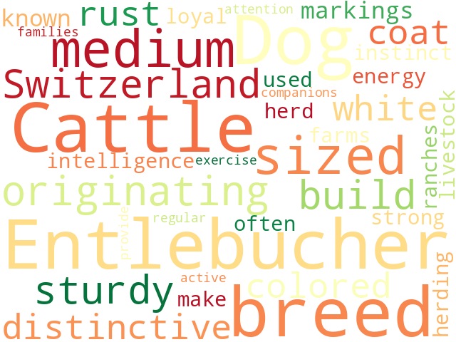 Word Cloud for entlebuch_cattle_dog
