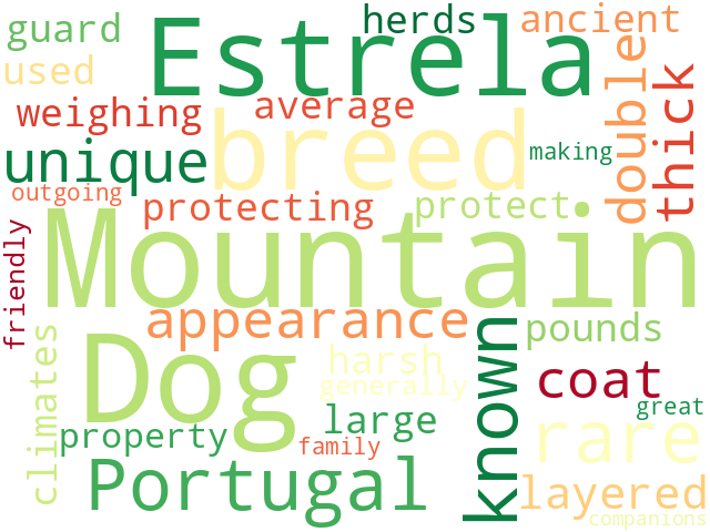 Word Cloud for estrela_mountain_dog