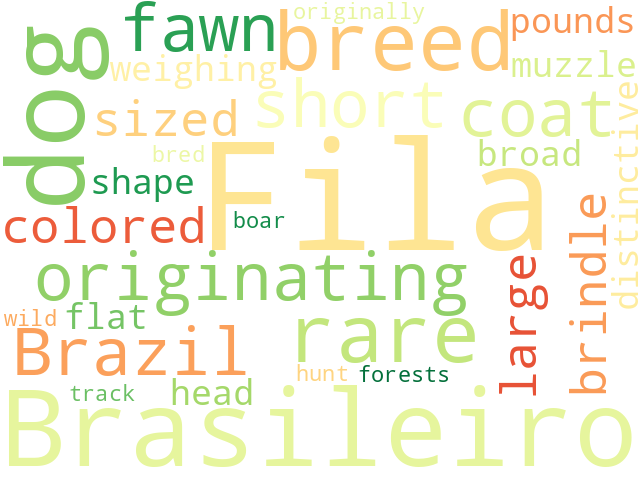 Word Cloud for fila_brasileiro