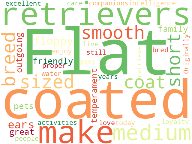 Word Cloud for flat_coated_retriever