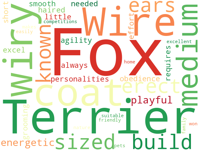 Word Cloud for fox_terrier_wire