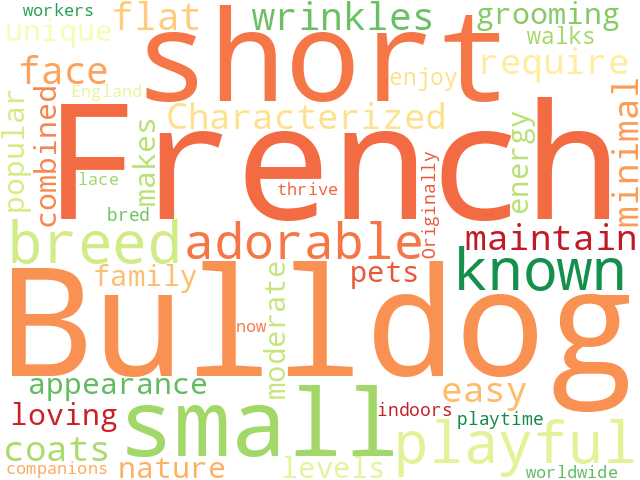 Word Cloud for french_bulldog