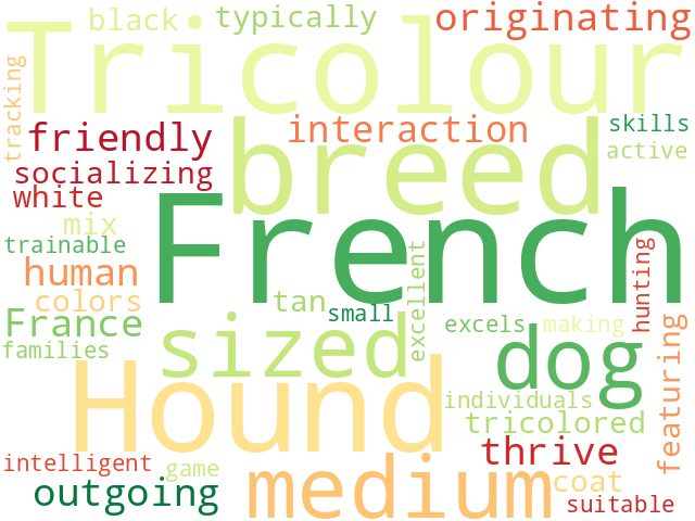 Word Cloud for french_tricolour_hound