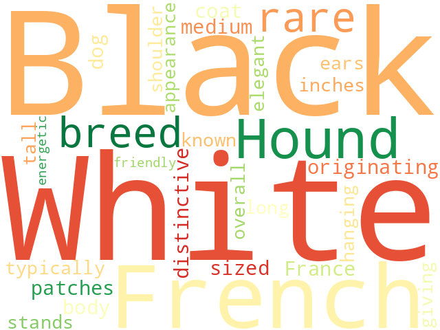 Word Cloud for french_white_black_hound