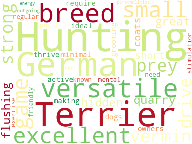 Word Cloud for german_hunting_terrier