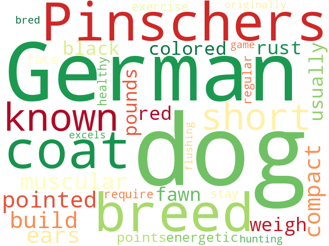 Word Cloud for german_pinscher