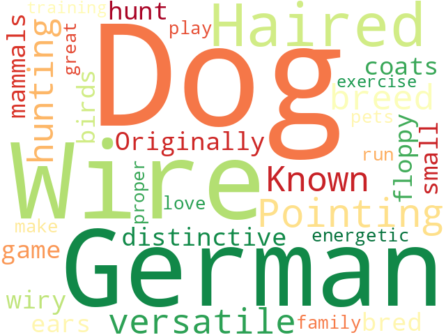 Word Cloud for german_wire_haired_pointing_dog