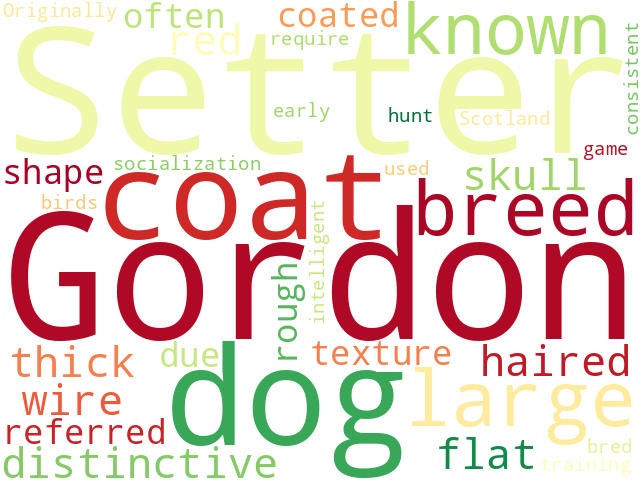 Word Cloud for gordon_setter