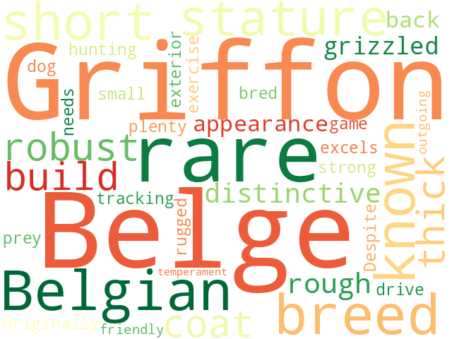 Word Cloud for griffon_belge
