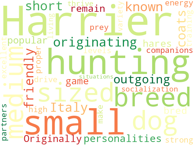 Word Cloud for harrier