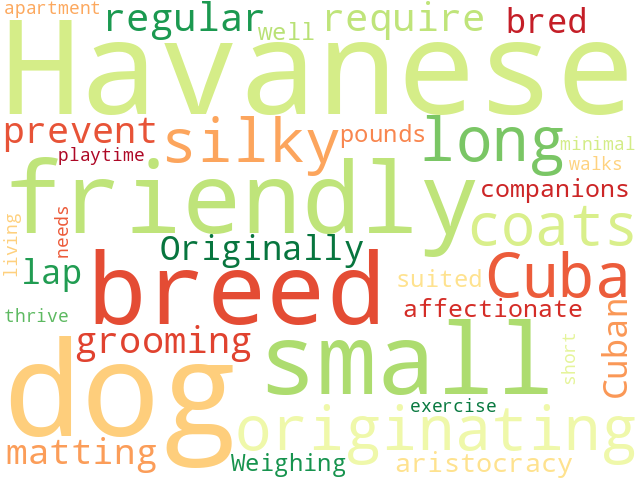 Word Cloud for havanese