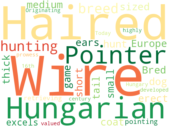Word Cloud for hungarian_wire_haired_pointer