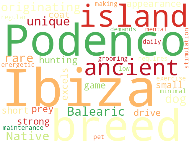 Word Cloud for ibizan_podenco