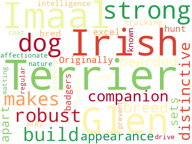 Word Cloud for irish_glen_of_imaal_terrier