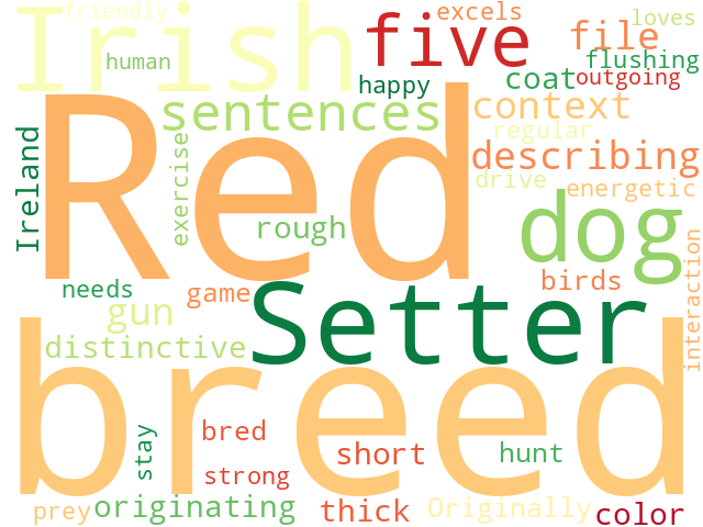 Word Cloud for irish_red_setter