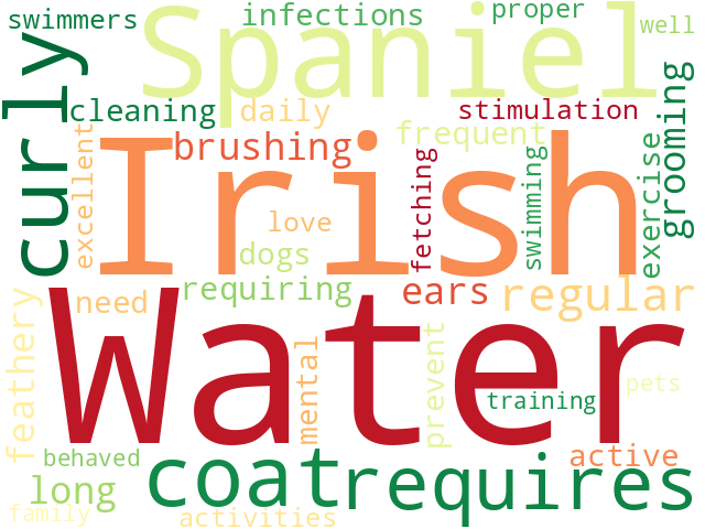 Word Cloud for irish_water_spaniel