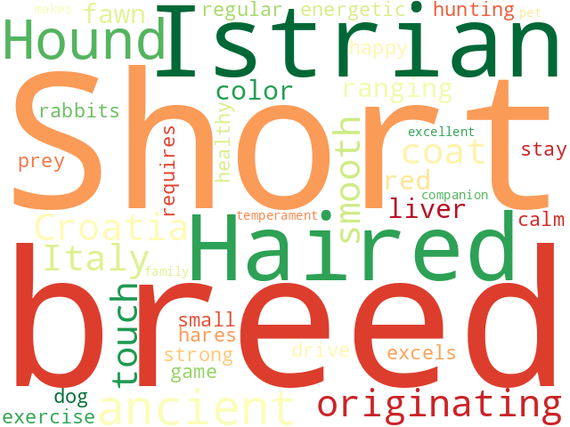Word Cloud for istrian_short_haired_hound
