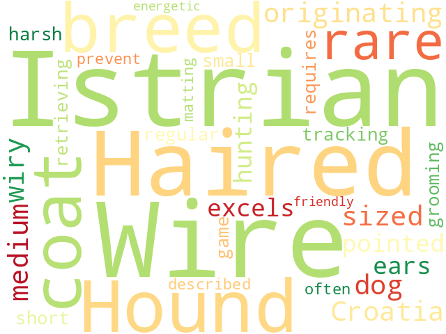 Word Cloud for istrian_wire_haired_hound