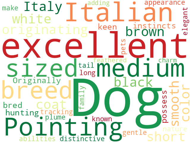 Word Cloud for italian_pointing_dog